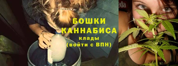тгк Богородицк