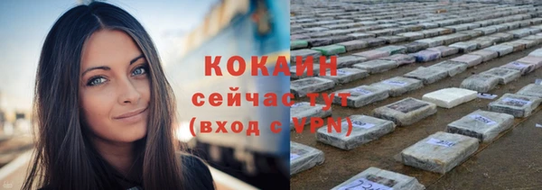Альфа ПВП Богородск