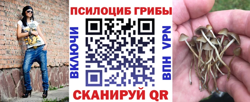 Псилоцибиновые грибы Psilocybine cubensis  Купить закладки  Певек 